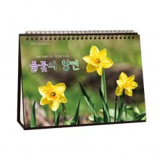 923 들꽃의 향연 
