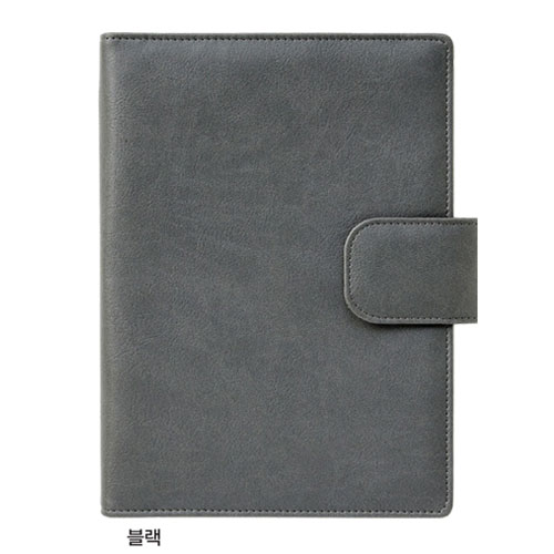 25절 비오 자석시스템