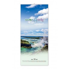 304 세계자유여행